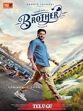 Watch Brother (2024) Online Full Movie Free